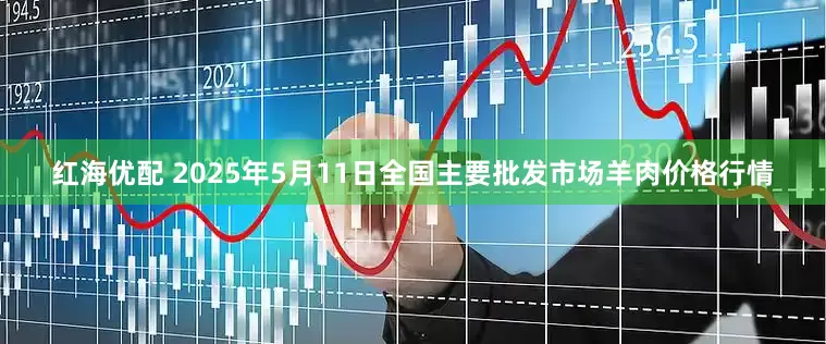 红海优配 2025年5月11日全国主要批发市场羊肉价格行情