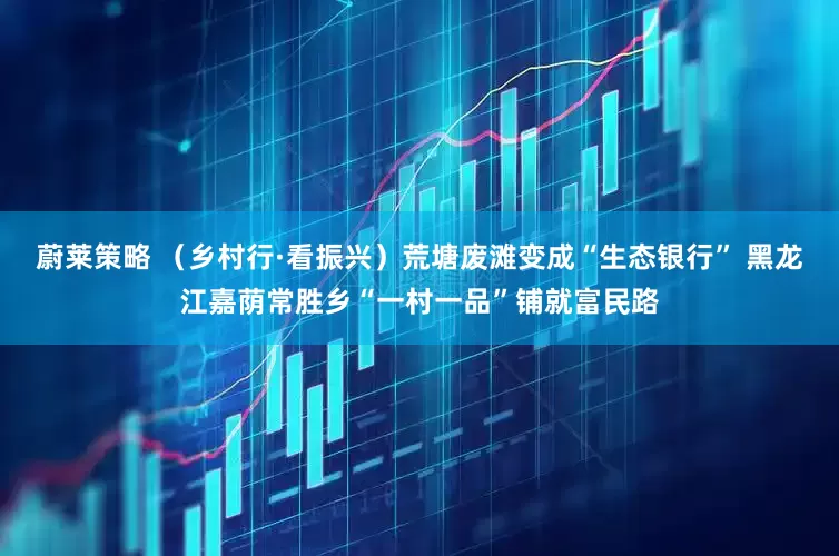 蔚莱策略 （乡村行·看振兴）荒塘废滩变成“生态银行” 黑龙江嘉荫常胜乡“一村一品”铺就富民路